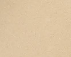 DESERT SAND BS160 | VICOSTONE
