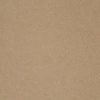 CAMELLIA BS4010 | VICOSTONE